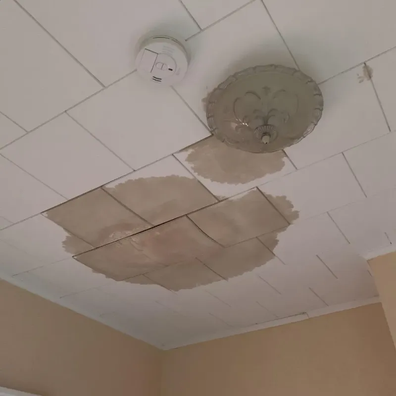 Ceiling Water Damage Repair in Dunlap, IN