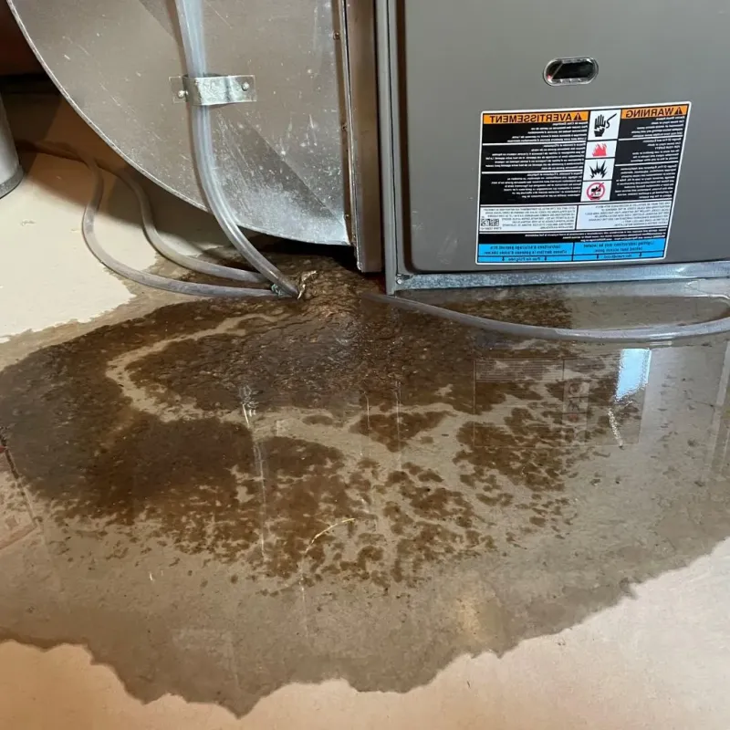 Pipe Burst and Leak Restoration in Dunlap, IN